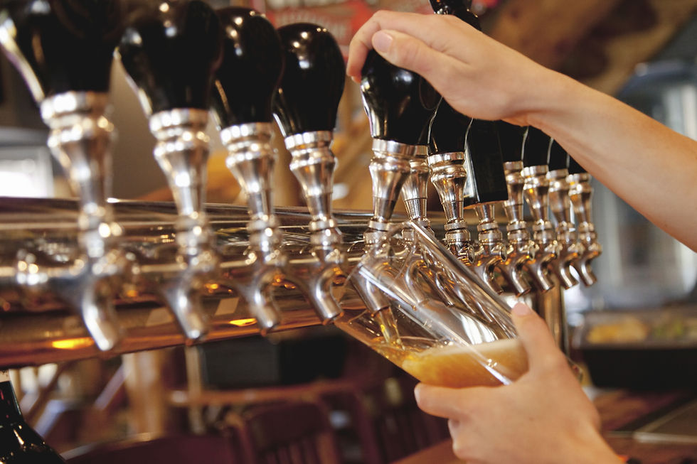 Meet the Brewer
